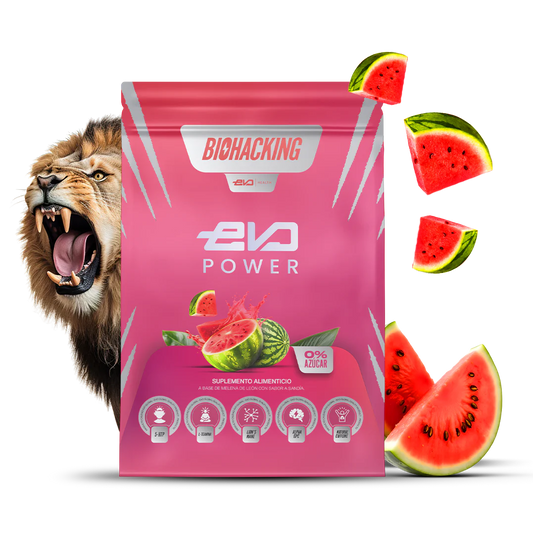 EVO POWER